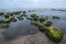 Экскурсионный тур в Калининграде «Балтийский бриз» рис.5