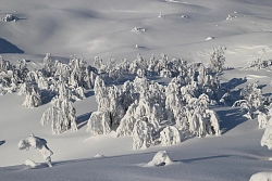 Сафари на снегоходах на Кольском полуострове «Неизведанные тропы Терского берега» рис.3