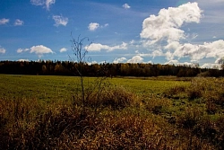 Конный тур в Костромскую область «Мир, покоренный лошадьми» рис.4