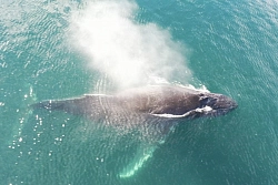 Экспедиция на Чукотку «Путешествие по краю Земли» (Короткий вариант) рис.2