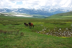 Конный тур на Алтае «Озеро Арукем» рис.3