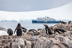 Экспедиционный круиз к Антарктическому полуострову «Новый год в Антарктиде» на судне класса «люкс» Minerva рис.5