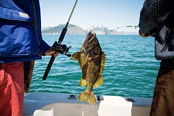 Комбинированный тур на Камчатку «Вулканы и медведи «Люкс» без ночевок в палатках» рис.4