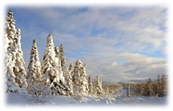 Комбинированный тур «Яркая зима на Сахалине» рис.2