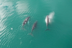 Экспедиция на Чукотку «Мыс Дежнёва: где начинается Россия» рис.2