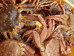 Гастрономический тур на Сахалин рис.2