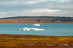 Экспедиционный круиз по Арктике на судне «Профессор Молчанов» «Земля Франца-Иосифа» рис.5