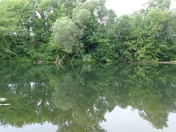 Сплав на байдарках по реке Зуша в Орловской области на 1 мая (5 дней) рис.4