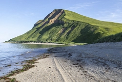 Экспедиционный круиз с посещением Командорских островов на судне «Академик Шокальский». «Короткое путешествие» рис.5