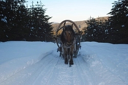  Конно-санный тур в Башкирии «Конно-санное приключение»  рис.3