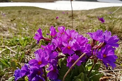 Комбинированный тур в Адыгею «Маёвка в горах» рис.3