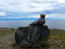 Активно-экскурсионный тур на Байкал «А берег тёплого Байкала манит…» рис.2