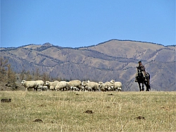 Экскурсионный тур на Алтае «Чуйские истории» рис.3