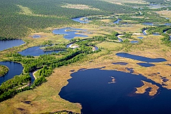Экспедиционнный тур в Арктику «Таймырская мозаика» рис.4