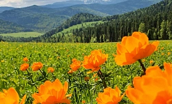 Экскурсионный тур на Алтае «7 чудес Алтая» рис.2