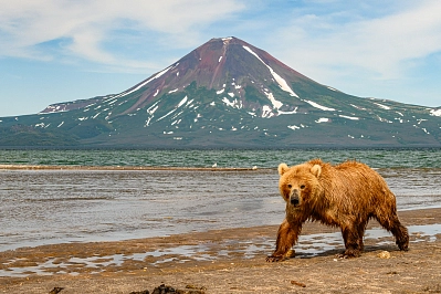 Combined tour to Kamchatka «Classic Kamchatka» рис.1