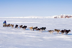 Большая зимняя экспедиция на Чукотку рис.2