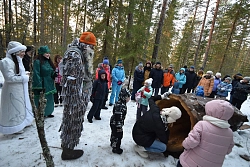 Комбинированный тур «Новогодние каникулы в загородном отеле в Карелии» рис.5