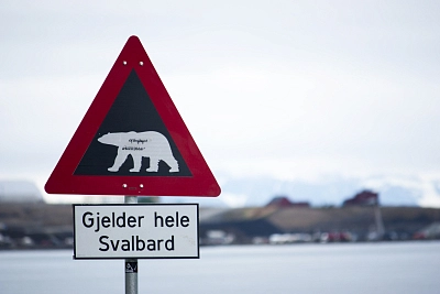 полярные маршруты вокруг Лонгйира на Шпицбергене во время туристического маршрута