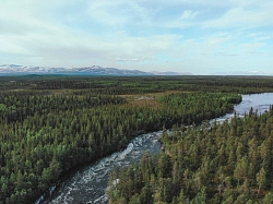 Сплав на катамаранах по реке Умба на Кольском полуострове рис.5