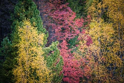 Комбинированный тур «Золотая осень на Байкале» рис.4