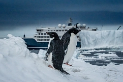Экспедиционный круиз «Острова Южной Атлантики, Южная Георгия, Антарктический полуостров» на мега-яхте SH Diana (Кейптаун – Ушуайя) рис.2
