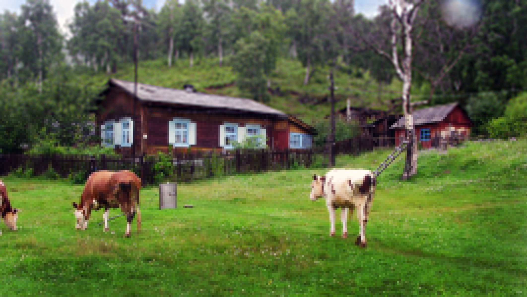 Экскурсионно-активный тур на Байкал «Байкальские встречи» рис.3