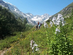 Комбинированный тур на Кавказе «Легенды горной Дигории» рис.4