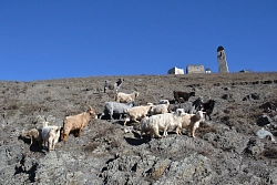 Экскурсионный тур на Кавказе «Притяжение Кавказа» рис.3