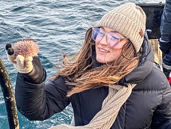 Экскурсионно-активный тур на Кольском полуострове на майские праздники «В поисках китов» рис.4