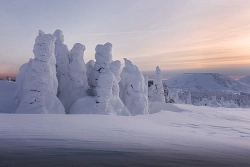Сафари на снегоходах на Северном Урале «Перевал Дятлова и плато Маньпупунер» рис.5