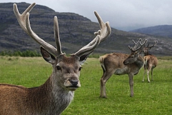 Экскурсионный тур на Алтае «7 чудес Алтая» рис.3