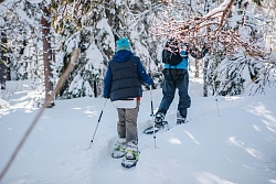 Комбинированный тур в Карелии «В диких карельских лесах. Путешествие к подножию горы Воттоваара» рис.3