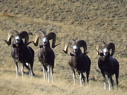 Комбинированный тур на Алтае «Неизвестный Алтай» рис.5