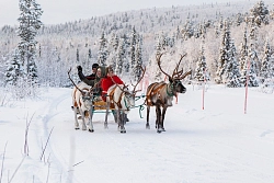 Экскурсионный тур на Кольский полуостров «Кольский weekend» рис.5