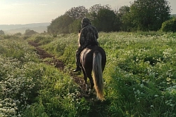 Конный тур в Костромскую область «Мир, покоренный лошадьми» рис.4