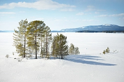Индивидуальный тур «Зимние приключения в Карелии» рис.5