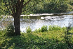 Сплав на байдарках по реке Теша во Владимирской области рис.4