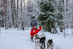 Комбинированный тур в Карелии «Новогодние чудеса на Ладоге» с проживанием в глэмпинге рис.3