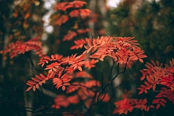 Комбинированный тур «Осенняя палитра Байкала» рис.3