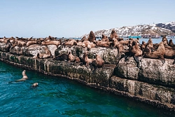 Экскурсионно-активный тур на Сахалин «Майские каникулы на Сахалине» рис.2