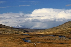 Экскурсионный тур на Алтае «Заповедная земля» рис.4