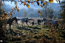 Комбинированный тур «Неделя в Адыгее» (осень–зима–весна) рис.3