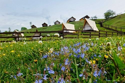 Велотур в Орловской области на майские и июньские праздники с проживанием в глэмпинге  рис.2