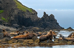 Комбинированный тур на Сахалин «Сахалин и Монерон – жемчужина Дальнего Востока» рис.5