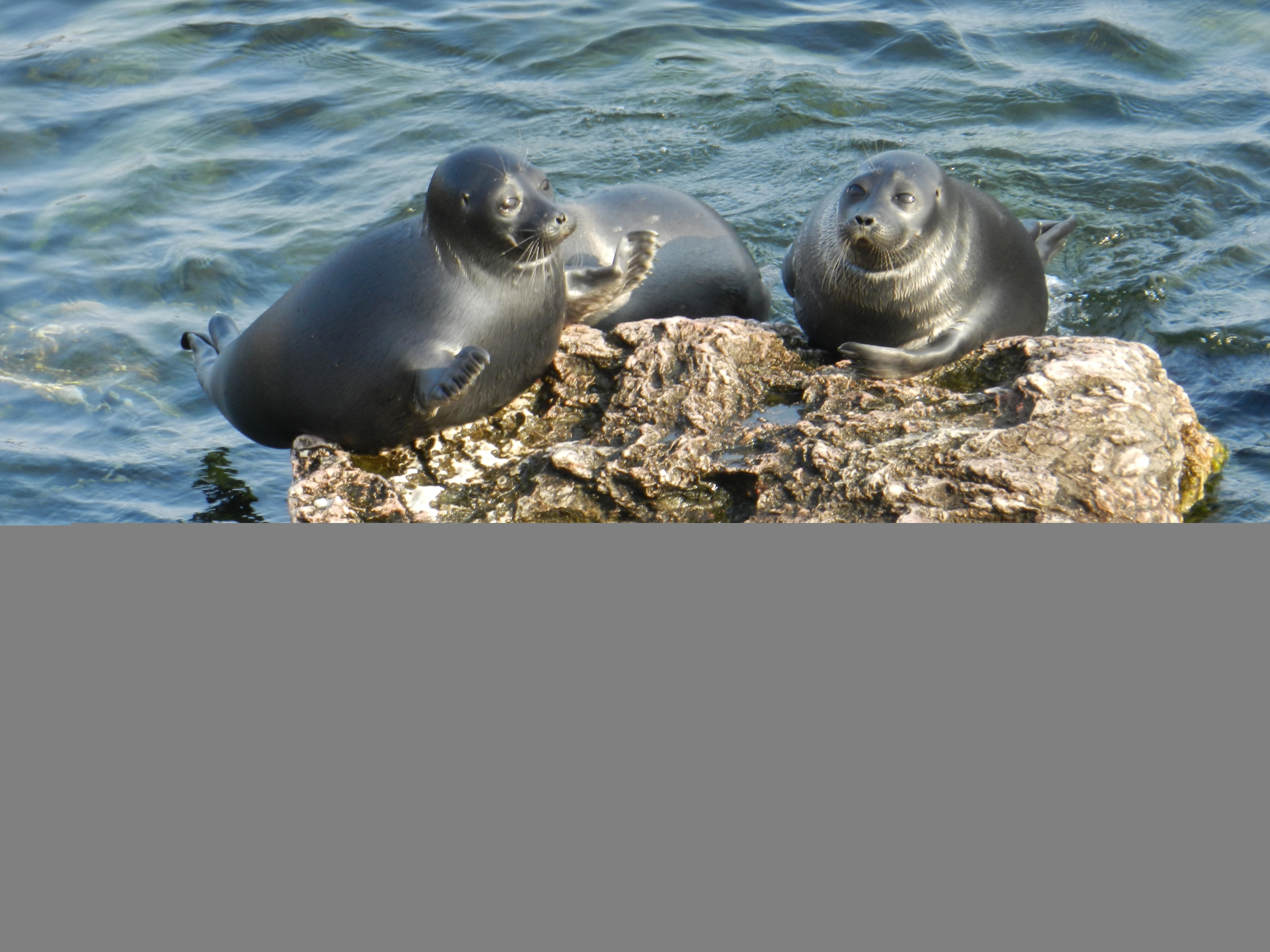 Круиз на Байкале «Золотое кольцо» рис.2