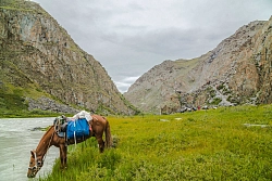 Конный тур на Алтае «На плато Укок без арчемаков» рис.3