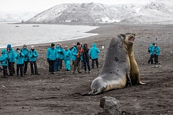 Экспедиционный круиз к Антарктическому полуострову, Фолклендским островам и Южной Георгии на мега-яхте SH Minerva рис.5