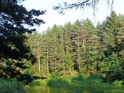 Сплав на байдарках по реке Медведица в Тверской области с машиной сопровождения на майские праздники рис.5