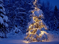 Активный тур в Адыгее «Новогодний отдых в горах Адыгеи» рис.4